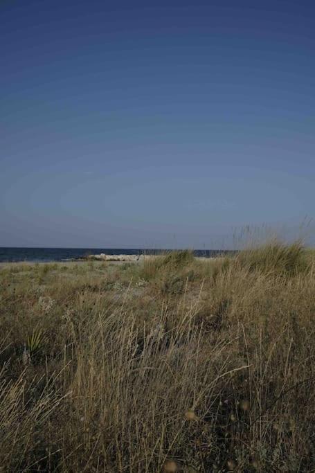 Casa Vacanze Campomarino  Εξωτερικό φωτογραφία